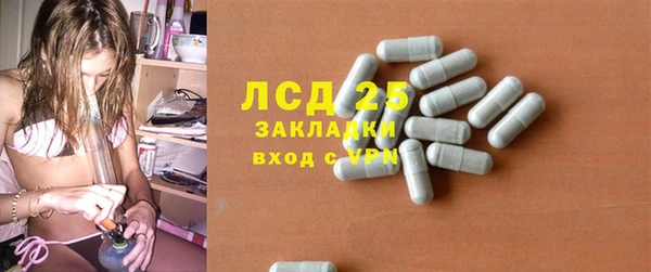 ПСИЛОЦИБИНОВЫЕ ГРИБЫ Алзамай