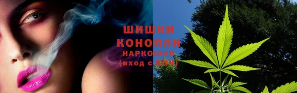 трава Арсеньев