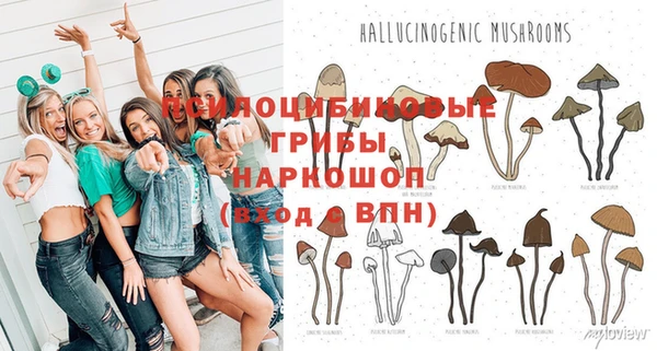 ПСИЛОЦИБИНОВЫЕ ГРИБЫ Алзамай